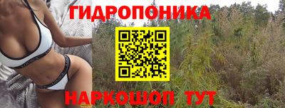 крисы Кумертау