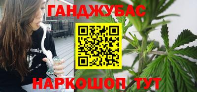 крисы Кулебаки