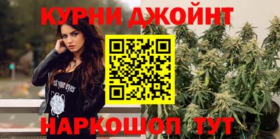 крисы Кулебаки