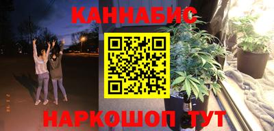 крисы Кулебаки