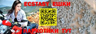 крисы Кулебаки