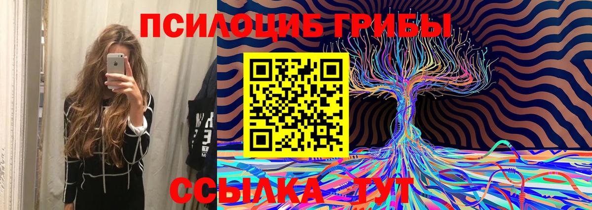 Псилоцибиновые грибы Psilocybine cubensis  Вход с VPN  Кашира  Псилоцибиновые грибы MAGIC MUSHROOMS 